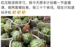 吃瓜娱乐号大全最新,带你畅游娱乐圈风云变幻