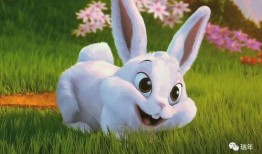 娱乐吃瓜小兔子视频下载,揭秘娱乐圈幕后故事