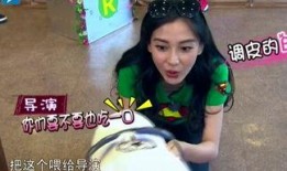 娱乐吃瓜酱笑声视频播放,网友直呼“太治愈”