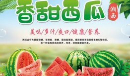 吃瓜娱乐封面设计图片高清,揭秘高清封面背后的娱乐风云