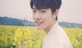 吃瓜娱乐圈肖战王一博,肖战王一博的瓜界传奇