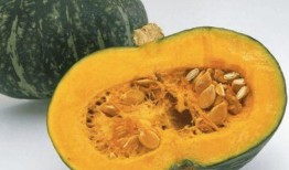 毒娱乐吃瓜,毒娱乐吃瓜背后的真相与内幕