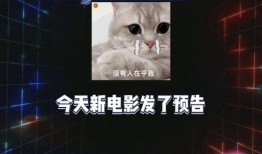 娱乐吃瓜live,揭秘娱乐圈幕后故事