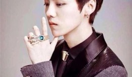 娱乐吃瓜酱鹿晗,娱乐吃瓜酱下的明星魅力与成长之路