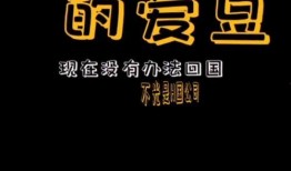 娱乐吃瓜播报怎么写的,最新播报盘点