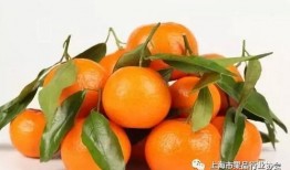 娱乐吃瓜橘子,揭秘娱乐圈那些不为人知的幕后故事