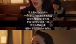 吃瓜娱乐圈内容