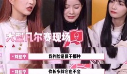 娱乐吃瓜小姐免费阅读,揭秘娱乐圈幕后故事