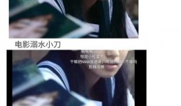 娱乐圈爽文吃瓜完结小说,吃瓜达人逆袭之路