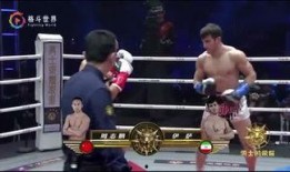 吃瓜娱乐拳击视频,吃瓜娱乐拳击视频大盘点