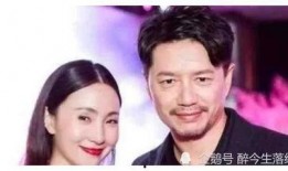 娱乐圈明星吃瓜剧情