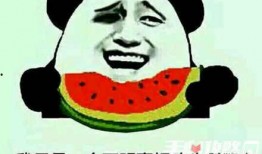 娱乐吃瓜酱朋友专属梗,吃瓜酱朋友的独家爆料，带你领略幕后风云