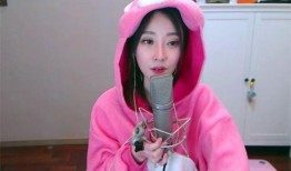 娱乐吃瓜四字弟弟小说,娱乐吃瓜界的风云人物