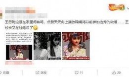 吃瓜娱乐圈内容