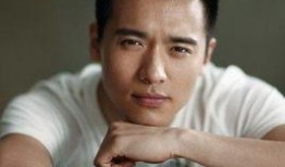 娱乐圈吃瓜高云翔,真相与谣言的交织