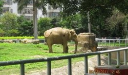 娱乐吃瓜酱南宁动物园,探秘动物乐园，共享欢乐时光