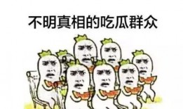 娱乐吃瓜群众一样