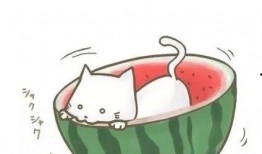 娱乐吃瓜群头像图片高清,趣味横生的视觉盛宴