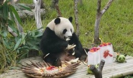 娱乐吃瓜酱南宁动物园,探秘动物乐园，共享欢乐时光