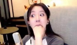 娱乐吃瓜酱姐姐养家,养家糊口背后的辛酸与坚持