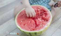 小雨娱乐吃瓜,揭秘娱乐圈最新吃瓜事件，带你领略明星幕后故事