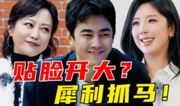 娱乐吃瓜小将王惠小说,娱乐圈的吃瓜小将，揭秘明星背后的故事