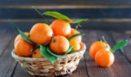 娱乐吃瓜橘子,揭秘娱乐圈那些不为人知的幕后故事