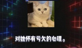 娱乐吃瓜live,揭秘娱乐圈幕后故事