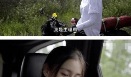 吃瓜爆料全娱乐圈双男主,揭秘瓜田里的甜蜜秘密