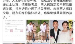 娱乐圈天天吃大瓜,天天大瓜，揭秘明星幕后故事