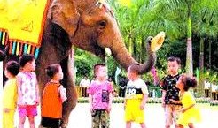 娱乐吃瓜酱南宁动物园,探秘动物乐园，共享欢乐时光